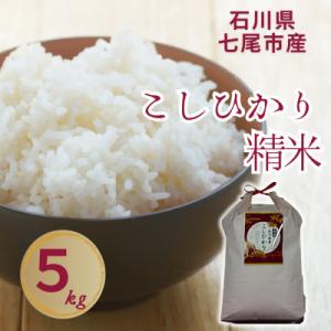 ふるさと納税 七尾市 石川県七尾市産　コシヒカリ　精米　5Kg