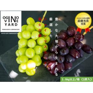 ふるさと納税 南アルプス市 【2026年秋収穫先行予約】山梨県産 富士の輝&amp;シャインマスカット 1....