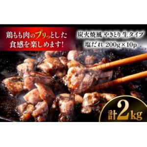 ふるさと納税 日向市 【新登場】 炭火焼鳥 炭...の詳細画像3