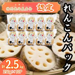ふるさと納税 江北町 【特別栽培農産物認定】《地元江北町産》佐賀れんこんパック 10パック (250...