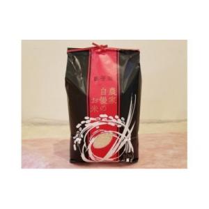 ふるさと納税 石岡市 【令和7年産】獅子米 ゆうだい21 精米 10kg