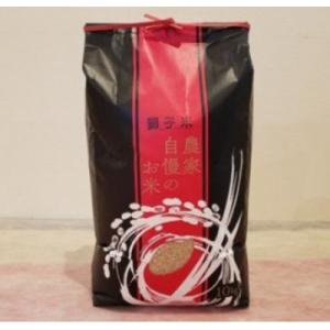 ふるさと納税 石岡市 【令和7年産】獅子米 ゆうだい21 玄米 10kg