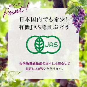 ふるさと納税 山陽小野田市 【有機農産物】ぶど...の詳細画像1