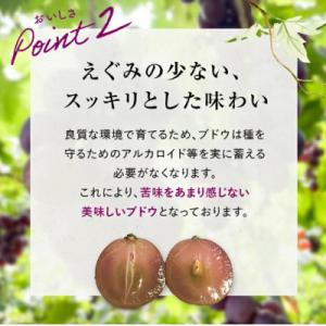 ふるさと納税 山陽小野田市 【有機農産物】ぶど...の詳細画像2