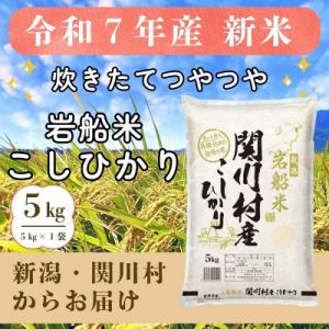 ふるさと納税 関川村 炊きたてつやつや R7年産 新潟関川村産 岩船米こしひかり 5kg [星山米店...