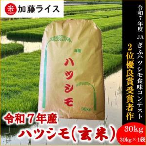 ふるさと納税 羽島市 令和7年産 岐阜県羽島市産ハツシモ 玄米30kg(30kg×1袋)