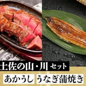 ふるさと納税 高知市 「土佐の山・川」　高知県産うなぎ蒲焼と土佐あかうしももセット【AM010】