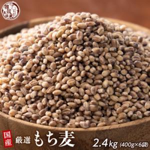 ふるさと納税 静岡市 雑穀米本舗 国産 もち麦 2.4kg(400g×6袋)ダイシモチ
