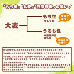ふるさと納税 静岡市 雑穀米本舗 国産 もち麦...の詳細画像1