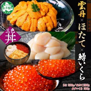 ふるさと納税 弟子屈町 ウニ 100g 鱒いくら醤油漬け 100g ホタテ貝柱 200g 海鮮丼 北...