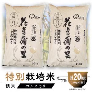 ふるさと納税 小矢部市 特別栽培米20kg (精米/コシヒカリ10kg×2)