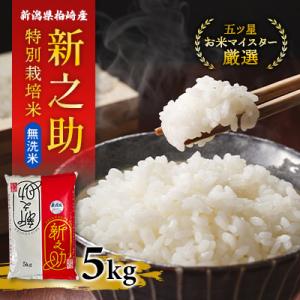 ふるさと納税 柏崎市 【令和7年産】【無洗米】特別栽培米　新潟県柏崎産「新之助」5kg×1袋　【五ツ星お米マイスター厳選】
