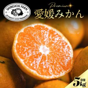 ふるさと納税 八幡浜市 老舗農家が見極めたプレミアム【小玉】愛媛みかん5kg【愛媛県川上産】【A70...