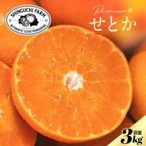 ふるさと納税 八幡浜市 【数量限定】老舗農家が見極めたプレミアム【せとか3kg】柑橘の大トロ【D70...