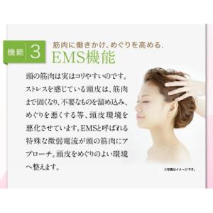 ふるさと納税 つくばみらい市 美ルル ブリリア...の詳細画像3
