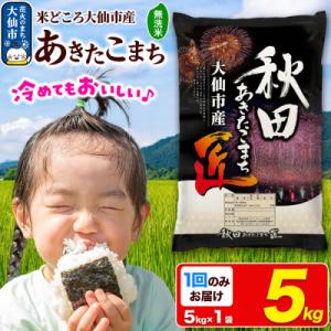 ふるさと納税 大仙市 《令和7年産》【無洗米】秋田県大仙市産 あきたこまち 5kg 1回のみお届け