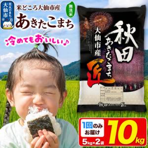ふるさと納税 大仙市 《令和7年産》【無洗米】秋田県大仙市産 あきたこまち 10kg(5kg×2)1回のみお届け