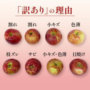 ふるさと納税 長野県 【訳あり】長野県産 りん...の詳細画像1