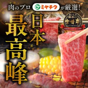 ふるさと納税 都城市 宮崎牛【赤身&霜...の詳細画像2