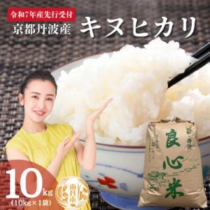 ふるさと納税 南丹市 【2025年11月以降順次発送】 令和7年産 新米予約 キヌヒカリ 10kg ...