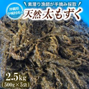 ふるさと納税 中城村 【数量限定・産地直送】素潜り漁師が手摘み採取!幻の天然もずく 塩蔵2.5kg(...