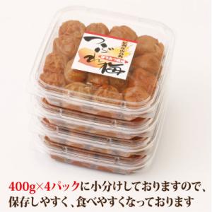 ふるさと納税 御坊市 【紀州南高梅】つぶれ梅 ...の詳細画像1