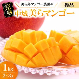 ふるさと納税 中城村 【2026年6月から順次発送・白箱】美ら島マンゴー農園の完熟中城美らマンゴー優品1kg(2〜3玉)