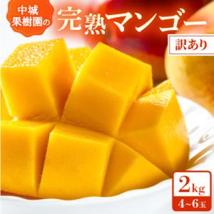 ふるさと納税 中城村 【2026年7月から順次発送・白箱】中城果樹園の完熟アップルマンゴー 訳あり2.0kg(4〜6玉)