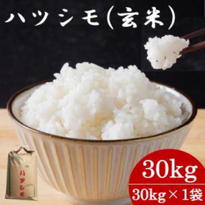 ふるさと納税 羽島市 令和7年産　岐阜県産ハツシモ(玄米) 30kg  国産 米