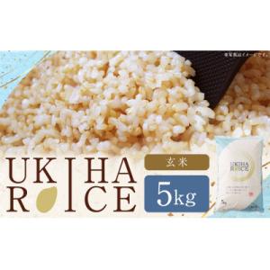 ふるさと納税 うきは市 UKIHA RICE 玄米5kg(通常栽培米)063-0063