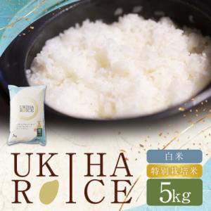 ふるさと納税 うきは市 UKIHA RICE 白米5kg(特別栽培米) 063-0148x1
