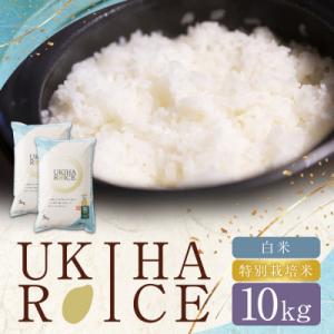 ふるさと納税 うきは市 UKIHA RICE 白米10kg(特別栽培米) 063-0149x1