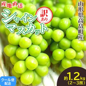 ふるさと納税 高畠町 【2026年度先行予約】山形県高畠町産 訳あり シャインマスカット 約1.2k...