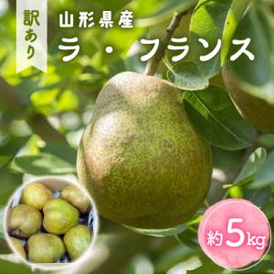 ふるさと納税 中山町 【令和8年産先行受付】山形県産「ラ・フランス」訳あり家庭用　約5kg