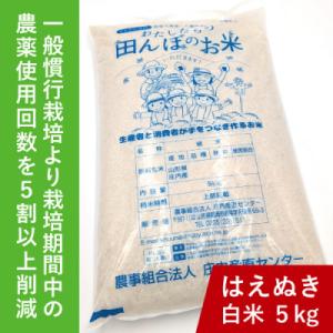 ふるさと納税 鶴岡市 令和7年鶴岡産 はえぬき 白米 5kg