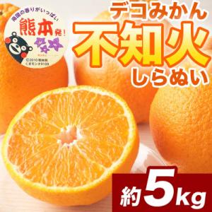 ふるさと納税 八代市 不知火(デコポンと同品種) 12〜24玉 約5kg(八代市)