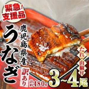 ふるさと納税 東串良町 【緊急支援品】《訳あり・数量限定》鰻の蒲焼き(無頭)(3〜4尾・計約480g...