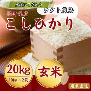 ふるさと納税 小浜市 令和8年産 こしひかり玄米20kg(ラクト農法)