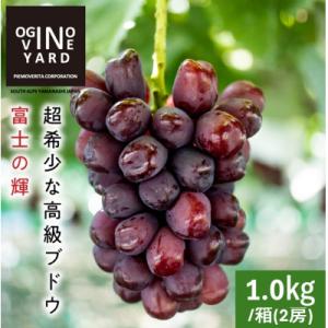 ふるさと納税 南アルプス市 【2026年秋収穫先行予約】山梨県産 富士の輝 合計1.0kg/箱(2房...