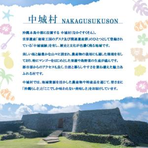 ふるさと納税 中城村 【沖縄ホーメルお試しセッ...の詳細画像3