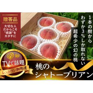ふるさと納税 山梨市 【お家で一流レストラン御用達】桃通を唸らせる『幻のシャトーブリアン桃』2026年8月下旬より順次発送