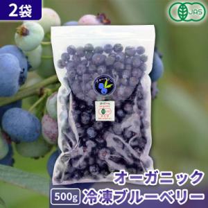 ふるさと納税 帯広市 有機JAS認証 冷凍ブルーベリー1kg(500g×2袋)【北海道十勝産】