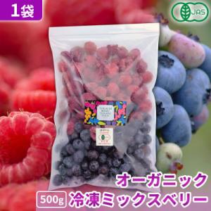 ふるさと納税 帯広市 【令和8年8月以降出荷】有機JAS認証 冷凍ミックスベリー500g×1袋【北海...