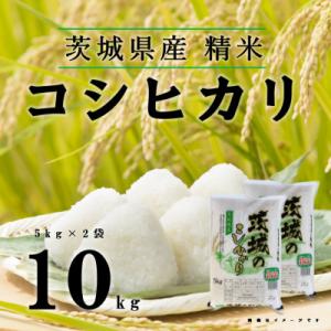 ふるさと納税 五霞町 【令和7年産】こしひかり 精米 10kg(5kg×2袋)茨城のおいしいお米