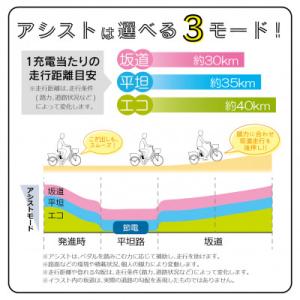 ふるさと納税 香取市 アクティブプラス ノーパ...の詳細画像2