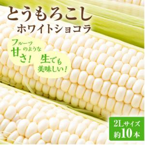 ふるさと納税 富良野市 【2027年発送】富良野産ホワイトとうもろこし　ホワイトショコラ計10本