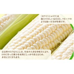 ふるさと納税 富良野市 【2027年発送】富良...の詳細画像1