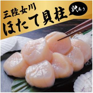 ふるさと納税 女川町 訳あり　冷凍ほたて貝柱(生食用) 500g/CAS凍結/三陸 女川町