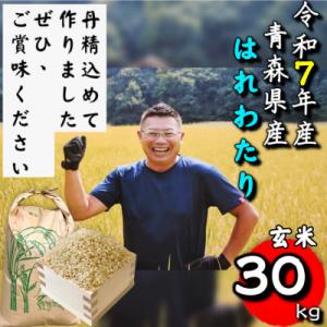 ふるさと納税 十和田市 【令和7年産】青森県産はれわたり玄米30kg