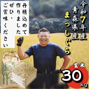 ふるさと納税 十和田市 【令和7年産】青森県産まっしぐら玄米30kg